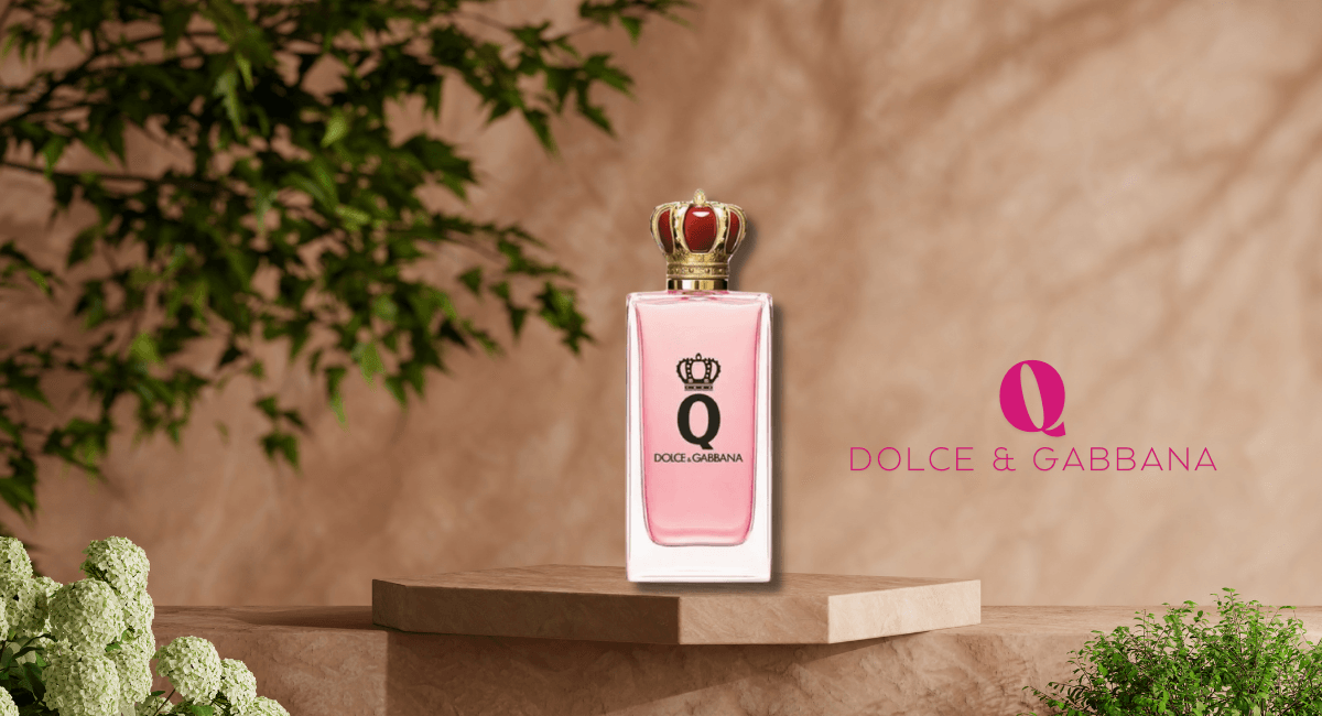 Q Dolce & Gabbana
