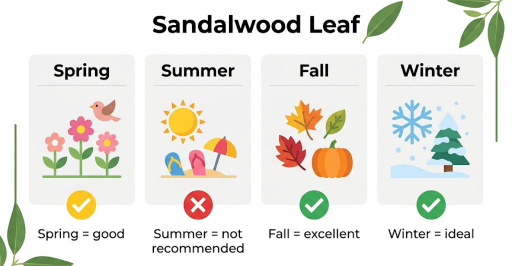 Seasonal suitability chart for Stronger With You Sandalwood showing it works best in fall and winter, not recommended for summer