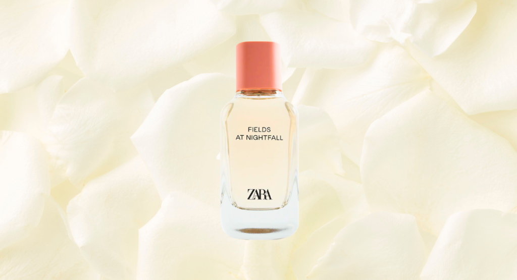 Zara – Fields at Nightfall
