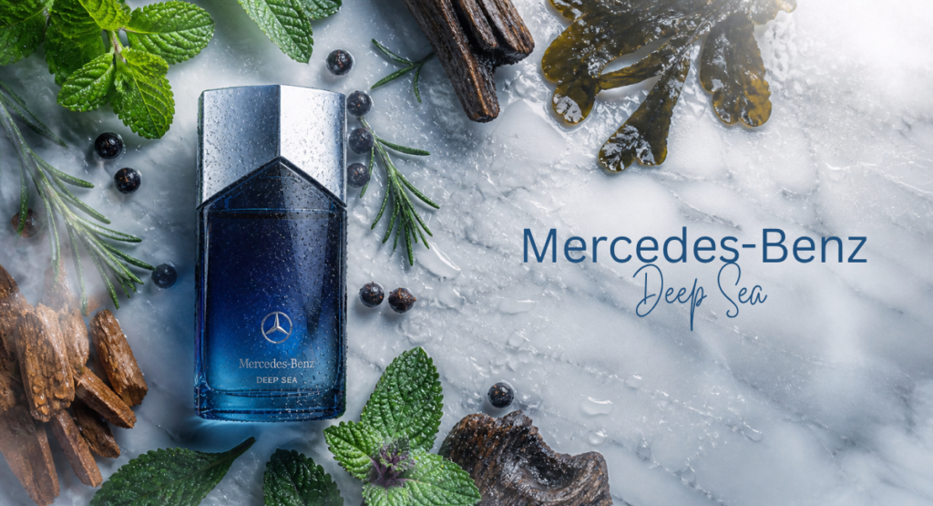 Flat lay of peppermint, rosemary, juniper, seaweed, driftwood, sandalwood, and patchouli representing Deep Sea fragrance notes.